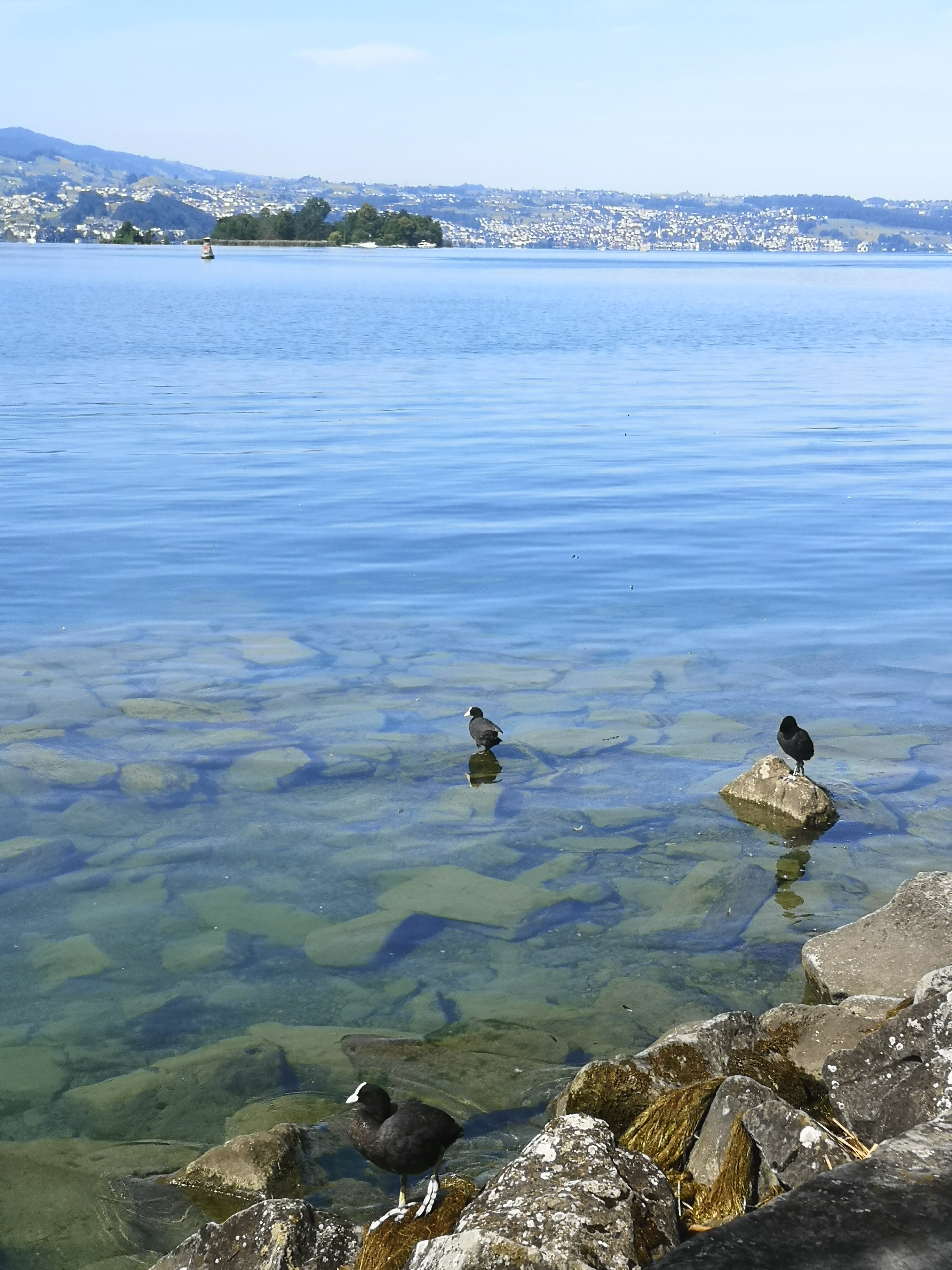 Zurich Lake